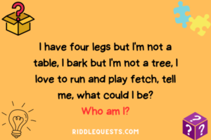 70+ Riddles About Dogs With Answers - Riddle Quests