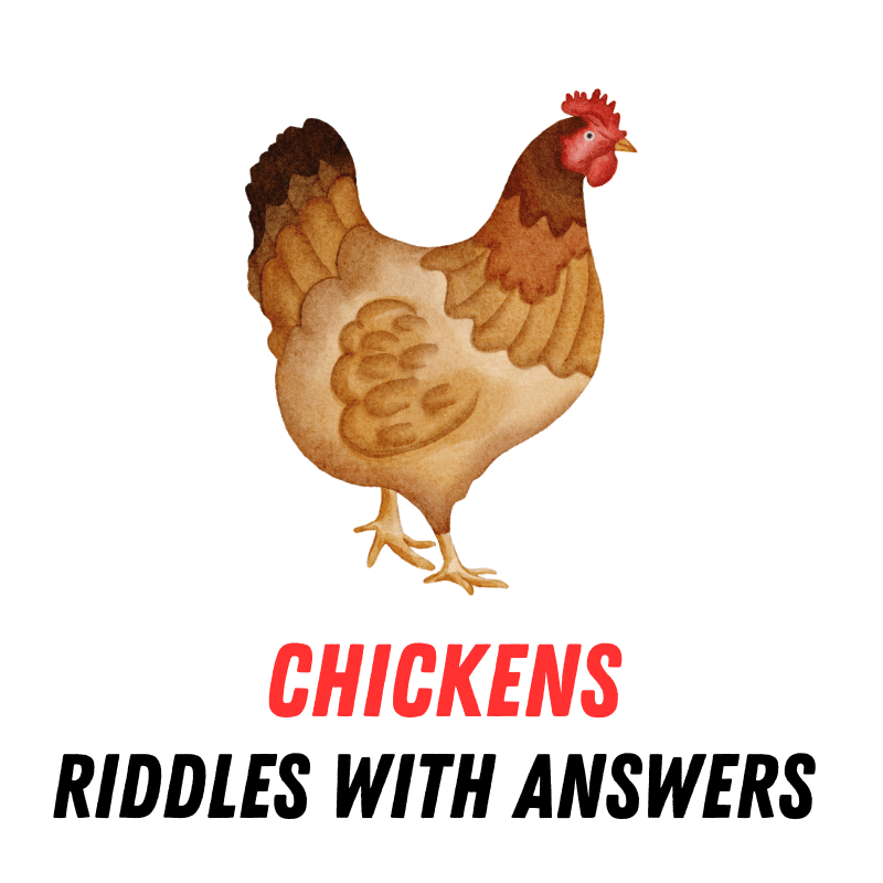 Riddles About Chickens With Answers