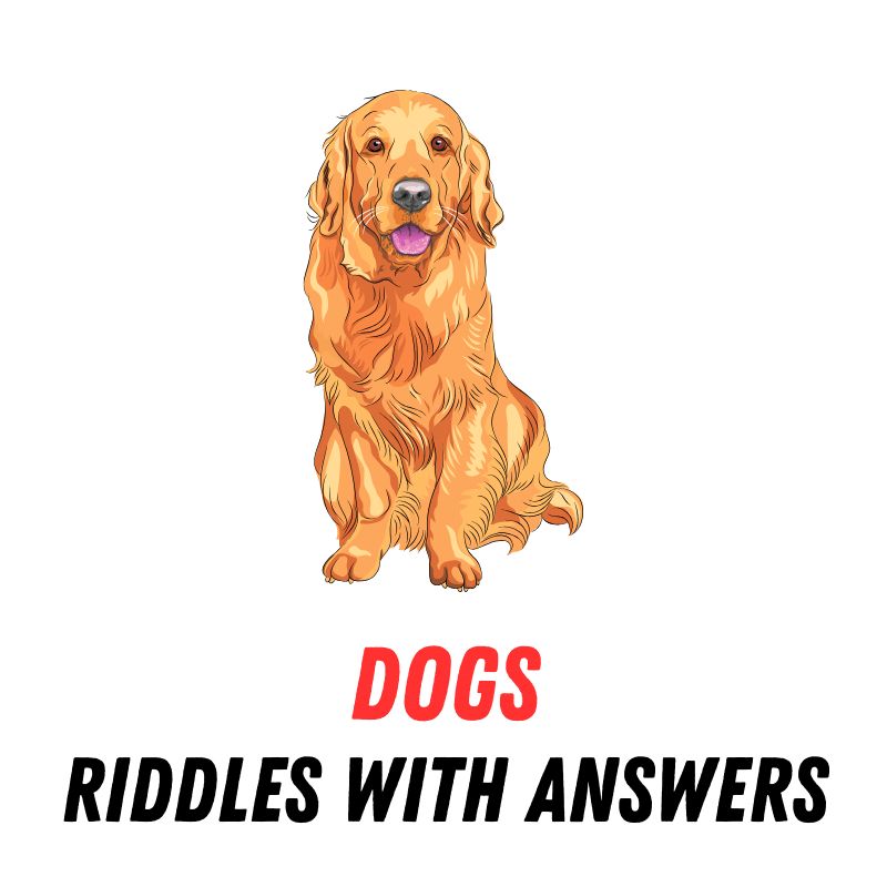 Riddles About Dogs With Answers