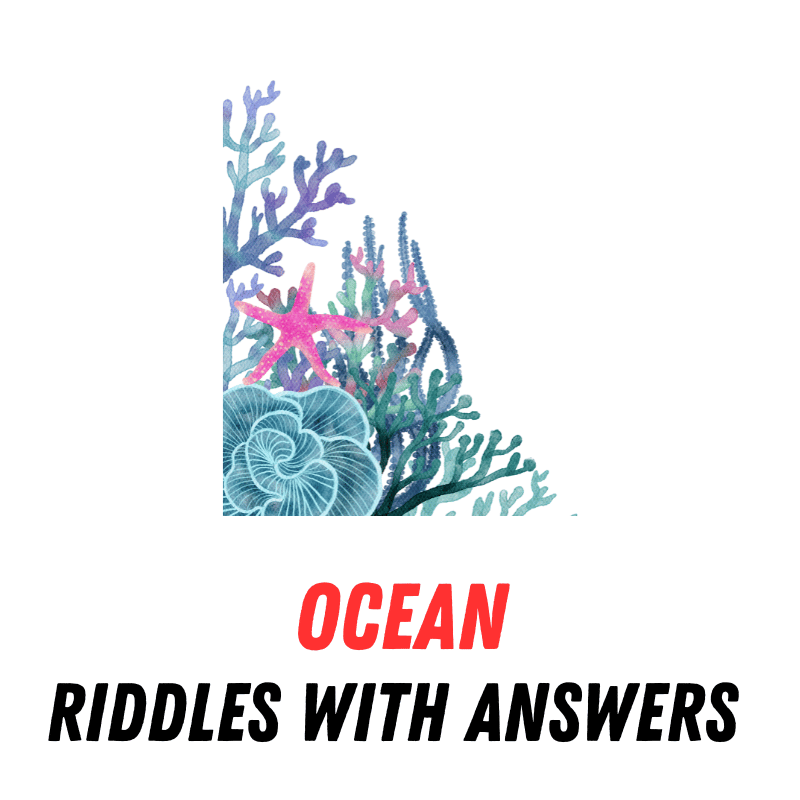 70+ Riddles About Ocean With Answers