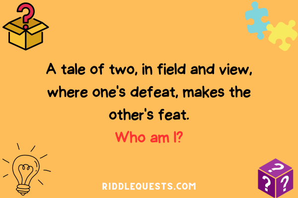 Twisted Riddles about Sports