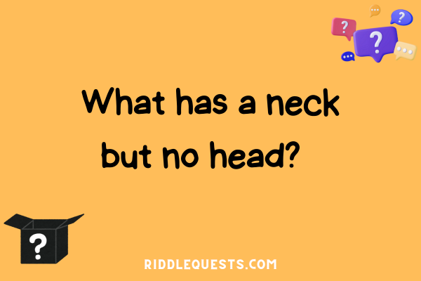 What has a neck but no head