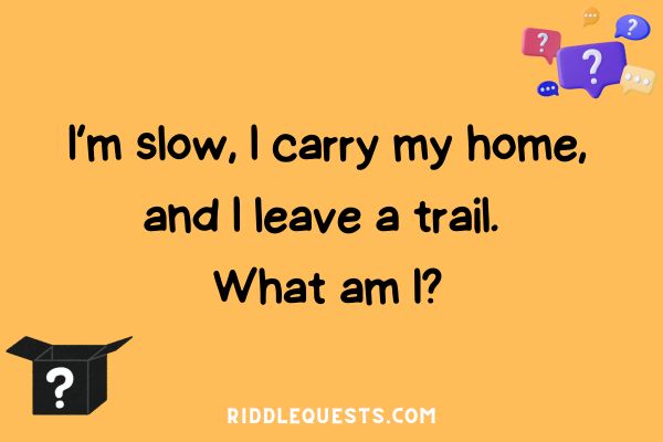 Easy Riddle