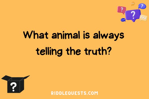 Easy Riddle